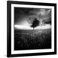 Illusion D'Un Printemps Perdu-Sebastien Del Grosso-Framed Photographic Print