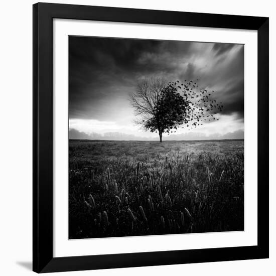 Illusion D'Un Printemps Perdu-Sebastien Del Grosso-Framed Photographic Print