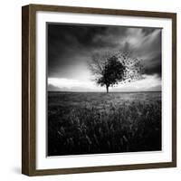 Illusion D'Un Printemps Perdu-Sebastien Del Grosso-Framed Photographic Print