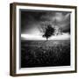 Illusion D'Un Printemps Perdu-Sebastien Del Grosso-Framed Photographic Print