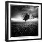 Illusion D'Un Printemps Perdu-Sebastien Del Grosso-Framed Photographic Print