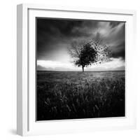 Illusion D'Un Printemps Perdu-Sebastien Del Grosso-Framed Photographic Print