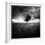 Illusion D'Un Printemps Perdu-Sebastien Del Grosso-Framed Photographic Print