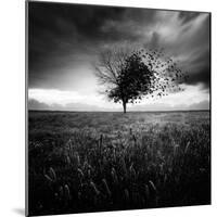 Illusion D'Un Printemps Perdu-Sebastien Del Grosso-Mounted Photographic Print