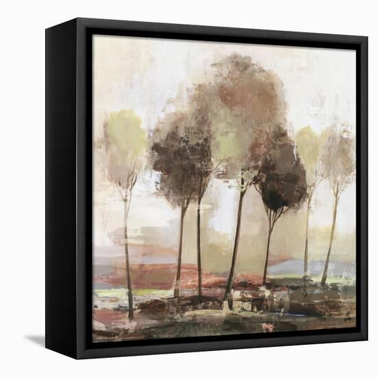 Illusion Land-Allison Pearce-Framed Stretched Canvas