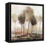 Illusion Land-Allison Pearce-Framed Stretched Canvas