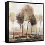 Illusion Land-Allison Pearce-Framed Stretched Canvas
