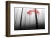 Illusion-Dragisa Petrovic-Framed Photographic Print