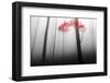 Illusion-Dragisa Petrovic-Framed Photographic Print