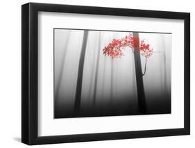 Illusion-Dragisa Petrovic-Framed Photographic Print