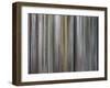 Illusion-Rikki Drotar-Framed Giclee Print