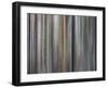 Illusion-Rikki Drotar-Framed Giclee Print