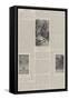 Illustrated Books-Charles Edmund Brock-Framed Stretched Canvas