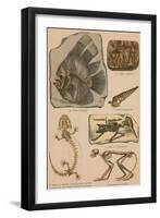 Illustrated Geology and Paleontology-Science Source-Framed Giclee Print