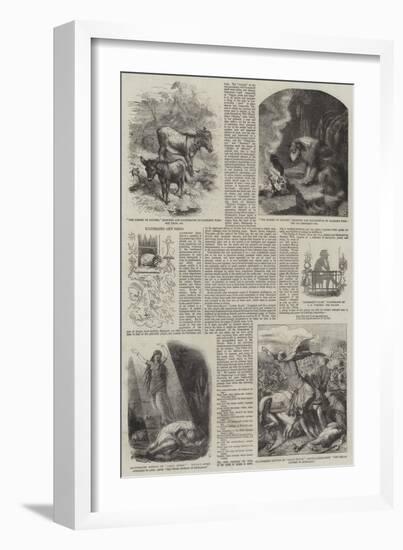 Illustrated Gift Books-Harrison William Weir-Framed Giclee Print