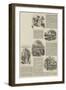 Illustrated Literature-null-Framed Giclee Print