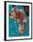 Illustrated Map of Africa-Daria_I-Framed Art Print