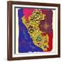 Illustrated Map of Peru. Travel-Daria_I-Framed Art Print