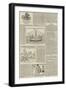 Illustrated News, a Sketch of the Rise and Progress of Pictorial Journalism-null-Framed Giclee Print