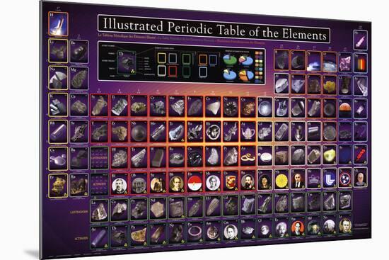 Illustrated Periodic Table of the Elements Educational Poster-null-Mounted Poster