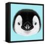 Illustrated Portrait of Emperor Penguin Chick. Cute Fluffy Face of Bird Baby on Blue Background.-ant_art-Framed Stretched Canvas