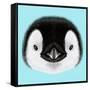 Illustrated Portrait of Emperor Penguin Chick. Cute Fluffy Face of Bird Baby on Blue Background.-ant_art-Framed Stretched Canvas