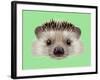 Illustrated Portrait of Hedgehog. Cute Head of Wild Spiny Mammal on Green Background.-ant_art-Framed Art Print