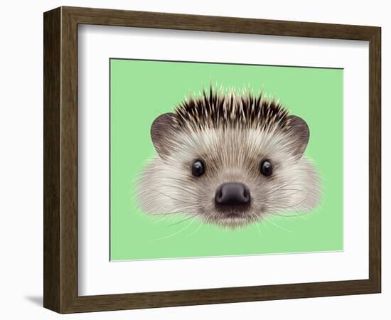 Illustrated Portrait of Hedgehog. Cute Head of Wild Spiny Mammal on Green Background.-ant_art-Framed Art Print