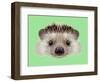 Illustrated Portrait of Hedgehog. Cute Head of Wild Spiny Mammal on Green Background.-ant_art-Framed Art Print