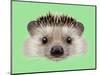 Illustrated Portrait of Hedgehog. Cute Head of Wild Spiny Mammal on Green Background.-ant_art-Mounted Art Print
