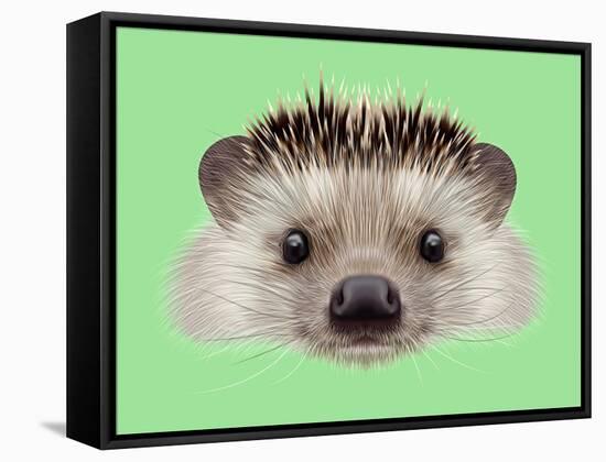 Illustrated Portrait of Hedgehog. Cute Head of Wild Spiny Mammal on Green Background.-ant_art-Framed Stretched Canvas