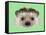 Illustrated Portrait of Hedgehog. Cute Head of Wild Spiny Mammal on Green Background.-ant_art-Framed Stretched Canvas