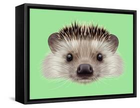 Illustrated Portrait of Hedgehog. Cute Head of Wild Spiny Mammal on Green Background.-ant_art-Framed Stretched Canvas