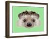 Illustrated Portrait of Hedgehog. Cute Head of Wild Spiny Mammal on Green Background.-ant_art-Framed Art Print