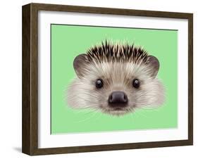 Illustrated Portrait of Hedgehog. Cute Head of Wild Spiny Mammal on Green Background.-ant_art-Framed Art Print