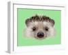 Illustrated Portrait of Hedgehog. Cute Head of Wild Spiny Mammal on Green Background.-ant_art-Framed Art Print