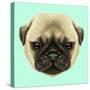 Illustrated Portrait of Pug Puppy. Cute Fluffy Fawn Face of Domestic Dog on Blue Background.-ant_art-Stretched Canvas