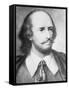 Illustrated Portrait of William Shakespeare-null-Framed Stretched Canvas