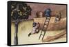 Illustration About the Teak Tree-null-Framed Stretched Canvas