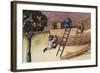 Illustration About the Teak Tree-null-Framed Art Print