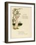 Illustration, Baby Mine-Kate Greenaway-Framed Art Print