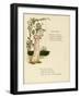 Illustration, Baby Mine-Kate Greenaway-Framed Art Print