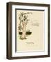 Illustration, Baby Mine-Kate Greenaway-Framed Art Print