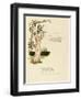 Illustration, Baby Mine-Kate Greenaway-Framed Art Print