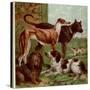 Illustration by Kronheim of Various Dogs, from Aunt Louisa's Birthday Gift-null-Stretched Canvas