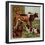 Illustration by Kronheim of Various Dogs, from Aunt Louisa's Birthday Gift-null-Framed Premium Photographic Print