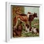 Illustration by Kronheim of Various Dogs, from Aunt Louisa's Birthday Gift-null-Framed Premium Photographic Print