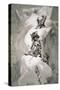 Illustration Depicting Expedition Members on the Ascent of Mont Blanc-null-Stretched Canvas