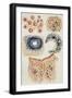 Black Frame