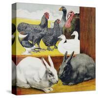 Illustration Depicting Rabbits and Farm Birds-null-Stretched Canvas